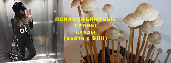 apvp Вяземский