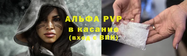 apvp Вяземский