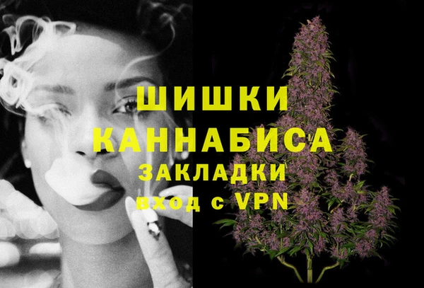 apvp Вяземский