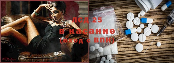 apvp Вяземский