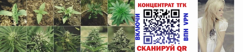 Купить  Ликино-Дулёво  ТГК жижа 