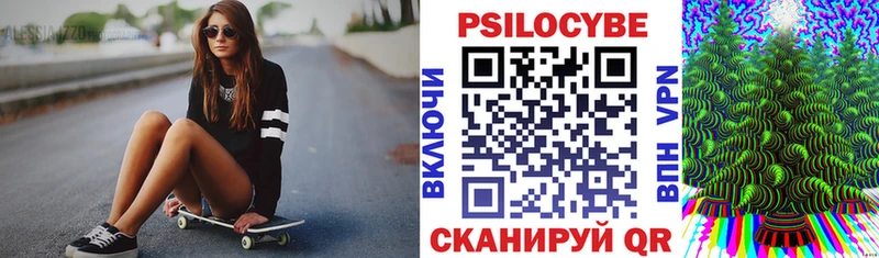 Купить  Ликино-Дулёво  Псилоцибиновые грибы мицелий 